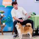柯叔元「人狗合演」4分鐘！坦言：有點嚇到我