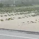 影/下班暴雨灌全台！17縣市豪雨特報　屏東多地爆淹水災情