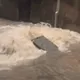 影/直擊新北淡水豪雨炸裂！馬路湧小噴泉　老街變水鄉