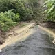 直擊高雄田寮土石阻路「災區成孤島」　怪手待命明早搶通