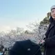 五熊疑潑油日本國寶遭逮　最重刑責恐關5年
