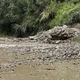 豪大雨狂襲「阿里山也出事了」！驚見大面積土石崩落、雙向交通斷