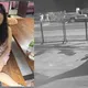 泰危險！陸女曼谷飯店遭4男綁架　「以為是導遊就上車」