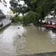 影/屏東豪雨！萬丹夫妻遭惡水沖倒　妻抱樹獲救、74歲夫失聯