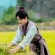 曾舜晞入戲太深變「菜園達人」！親手割水稻寄給公司老闆