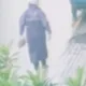 影/周氏蝦捲29日遭潑活蟑螂停業1天　嫌犯身影曝警鎖定1男
