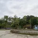 開學日高雄爆噩耗！鳥松濕地公園驚見男屍