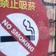 台灣「禁菸令」有譜？網：一包賣500元以上效果更好