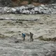 影/尼泊爾土石流沖出「巨型怪魚」！印度急呼籲：不要撿來吃