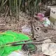 疑觸電亡！逃逸越南移工山林隱居5年慘死　妻崩潰招魂