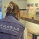 惠家香「南瓜籽油」驗出苯駢芘超標！北市全聯緊急下架