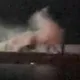 影/啪！桃園永安漁港長浪捲3釣客落海　驚險獲救