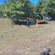 影/南投男登駒盆山遭落石砸頭！空勤黑鷹吊掛送醫