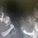 影/車手躲草叢拒捕！嘉義警喊「有蛇」逼出2嫌