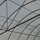 影/雲林西螺弓孝宮煙火落塵毀有機溫室!廟方致歉承諾全賠