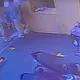 影/宜蘭車站女車手遭騙百萬謊報「被搶劫」！警方3小時逮2嫌