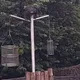 影/北市動物園大逃亡！黑猩猩翻牆「自拔麻醉針」　長頸鹿嚇壞了