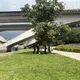 還沒完全回到人世！碧潭阿公落水被救起「持續搶救中」