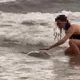 影/眾人喊「不要」！德國女遊客仍摸海龜遭依法送辦