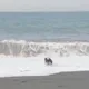 颱風天違規戲水！海巡網路巡查抓太麻里2民眾　最高恐罰25萬