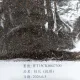 進口「桂花」檢出致癌蘇丹紅　食藥署邊境攔截1700公斤銷毀