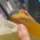 「優酪春烏龍」竟含葡萄柚！慢性藥網友嚇壞 　得正承諾9月標註