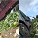 甲醛大白菜恐致癌　5類黑心食材煮熟也沒用