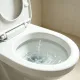 沖水前多看一眼　糞便「2顏色」當心大腸癌、癌王