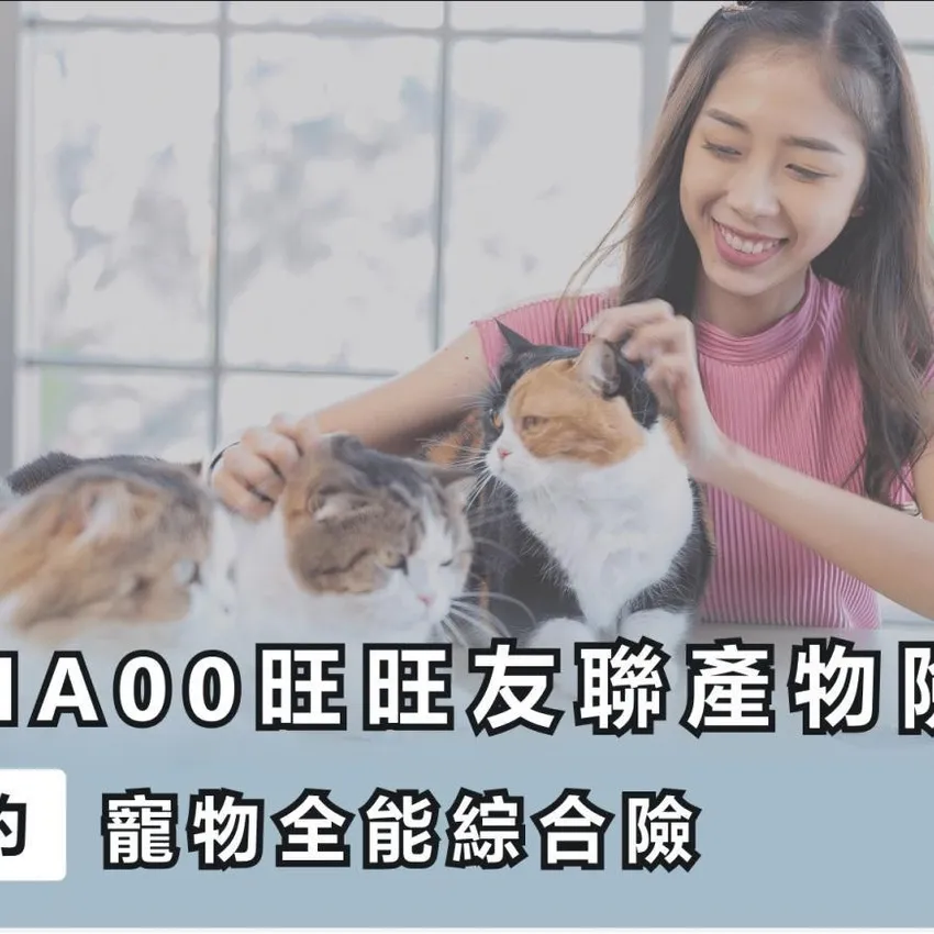 毛孩專屬保障上線　醫療走失喪葬全包