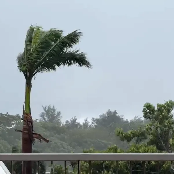 準颱未至「強風打頭陣」！北南7縣市慎防8級以上強陣風