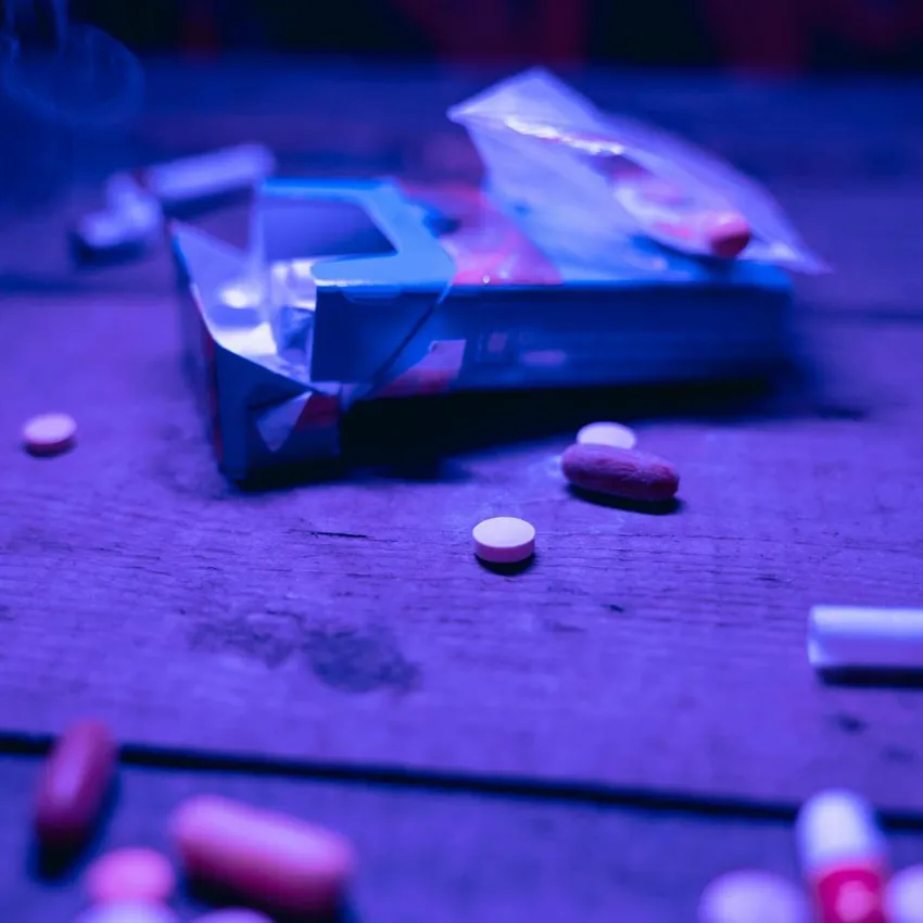 過年換裝藏身聚會！「喵喵」連續7年檢出最多　嚴重恐致死