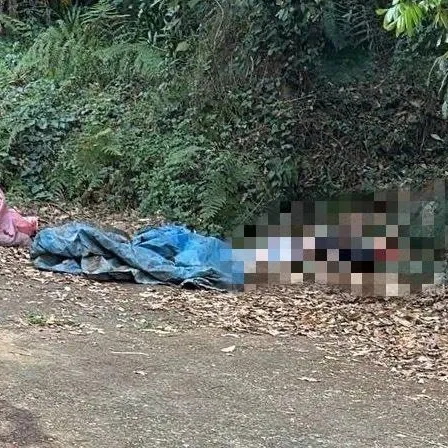 玄！彰化無臉無眼屍命案「供毒糾紛遭虐死」　警曝破案巧合