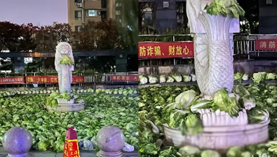 新加坡魚尾獅換「捧菜」造型？大陸瀋陽社區擺滿過冬蔬菜超壯觀
