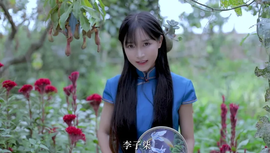 很會賺！網紅李子柒停更一年多　Youtube月收益仍達348萬台幣