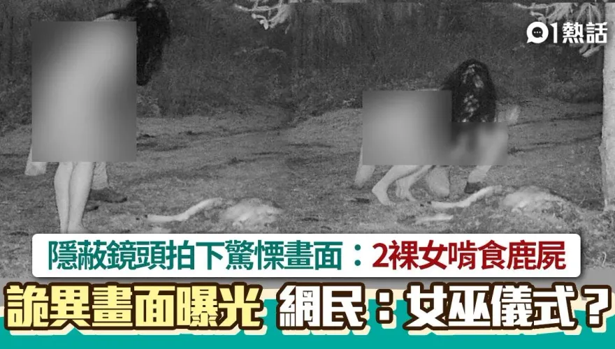 2裸女生食鹿屍影片曝光！隱蔽鏡頭拍下詭異畫面　網驚呆：進行女巫儀式？