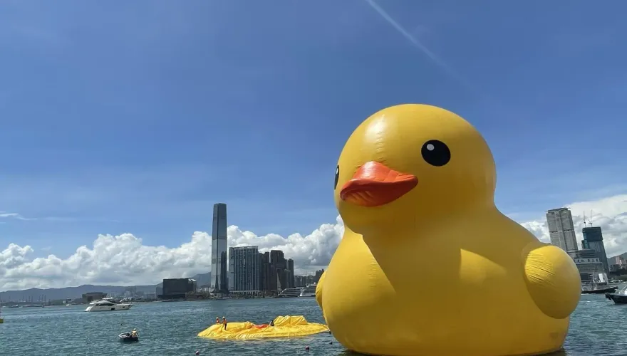 影/好漏氣！黃色小鴨香港展出首日　「10秒癱」鴨皮糗浮維港水面