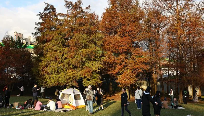 未來1週2波東北季風！北東迎風面短暫雨　氣溫最低20度
