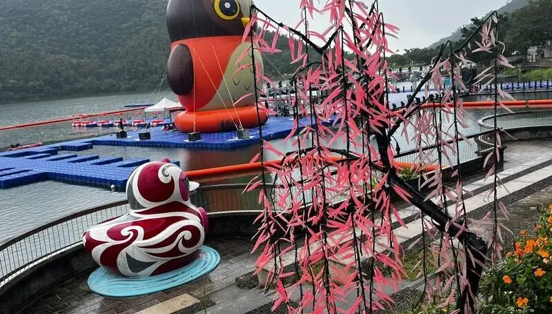 「花蓮FUN暑假」紅面鴨換成貓頭鷹　網友：好醜！