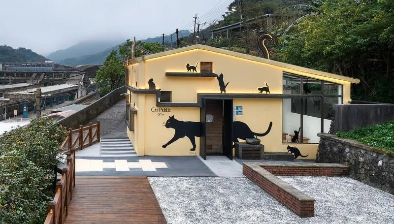 CNN評為世界六大「賞貓景點」！猴硐重新開張　將再票選貓所長