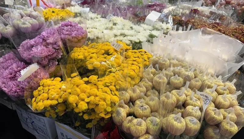 春節、情人節接著來！　台北花市2/12起「108小時不打烊」