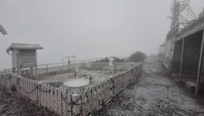 玉山降雪如撒糖霜！結冰、霧淞一片絕美銀白
