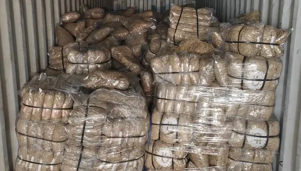 市價逾5億！運毒集團走私近400公斤大麻　越南籍3嫌遭起訴