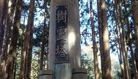 全台唯一！日人狠砍10萬株大樹憂遭報復　阿里山建「樹靈塔」
