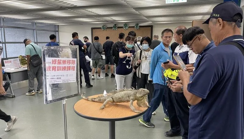 抓綠鬣蜥領禮券！屏東6場移除訓練課　9/22起開放報名