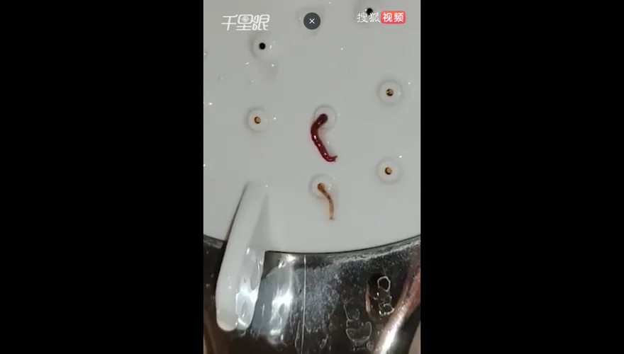 雞皮疙瘩掉滿地！洗澡驚見「紅色怪蟲」竄出蓮蓬頭　詭異扭動讓女子嚇到崩潰