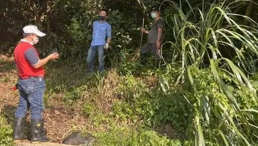 沒回弟弟訊息！桃園六旬婦登山失聯　跌傷昏迷2日奇蹟獲救