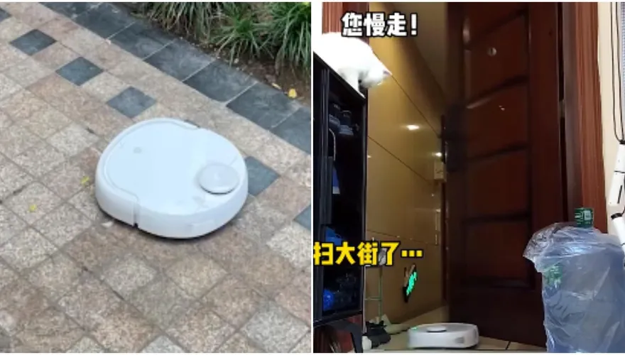 白貓發狠「驅趕機器人掃大街」鏟屎官下班看到偷笑→回家傻眼：小丑竟是我自己