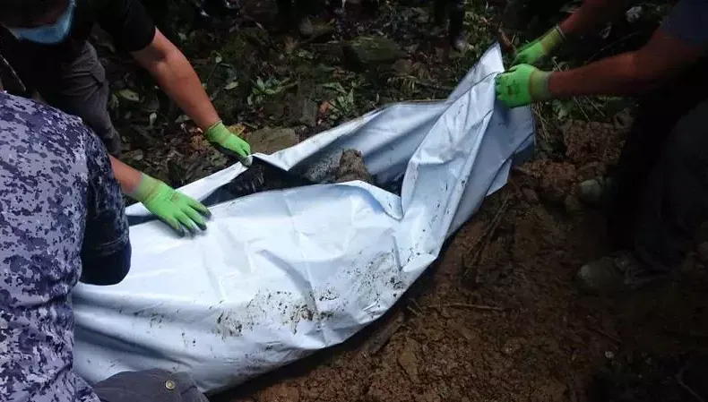 東卯山台灣黑熊誤入陷阱…慘遭殺害掩埋　凶嫌冷血對話曝光