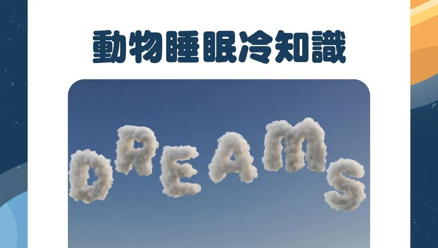【毛球冷知識】什麼？人真的跟豬一樣會睡！動物睡眠大解密