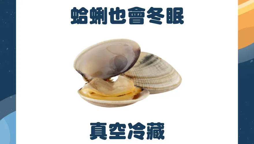 【毛球冷知識】倫家還活著啦！真空狀態下還是很鮮的
